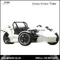 EEC 250cc/300cc Zongshen Engine Trike Adult Tricycle Ztr Trike